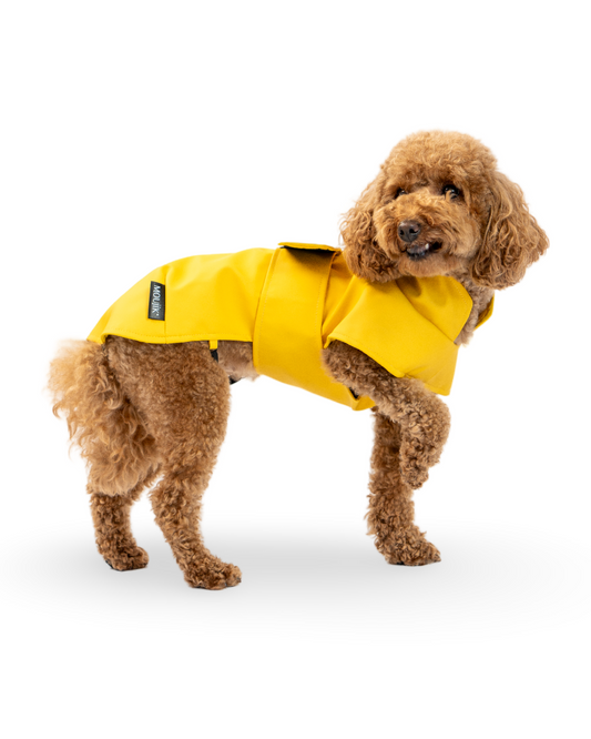 Rain jacket classic yellow
