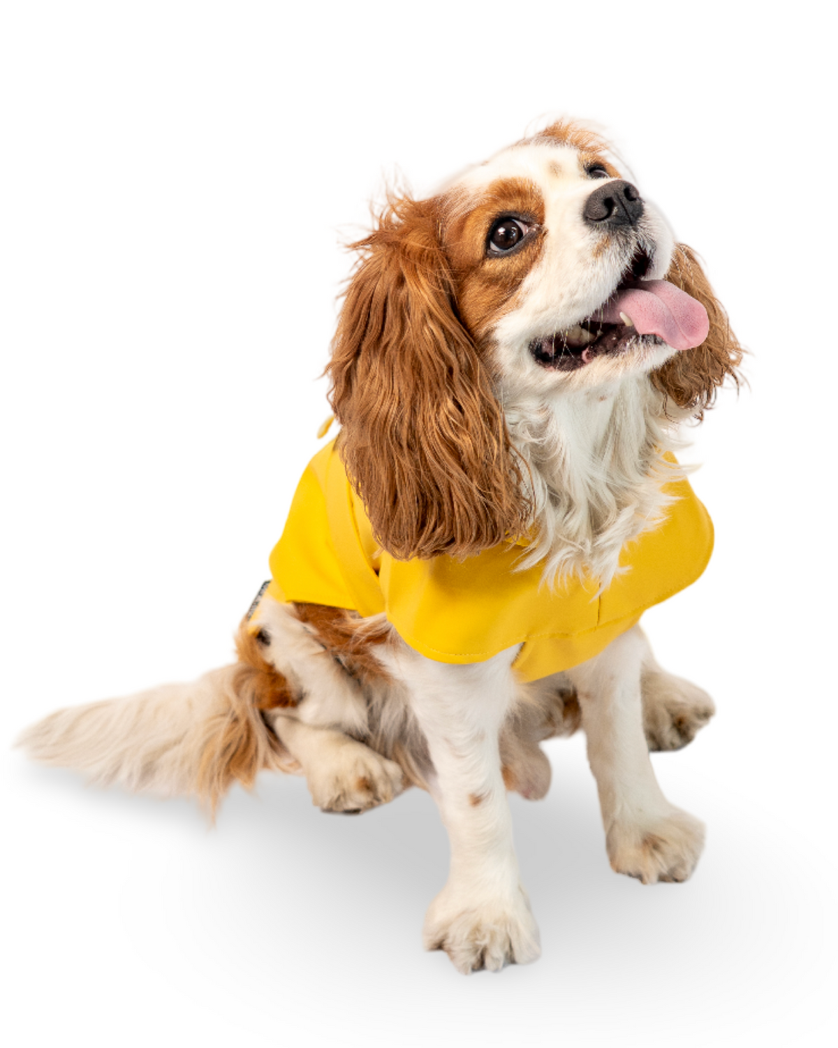 Rain jacket classic yellow