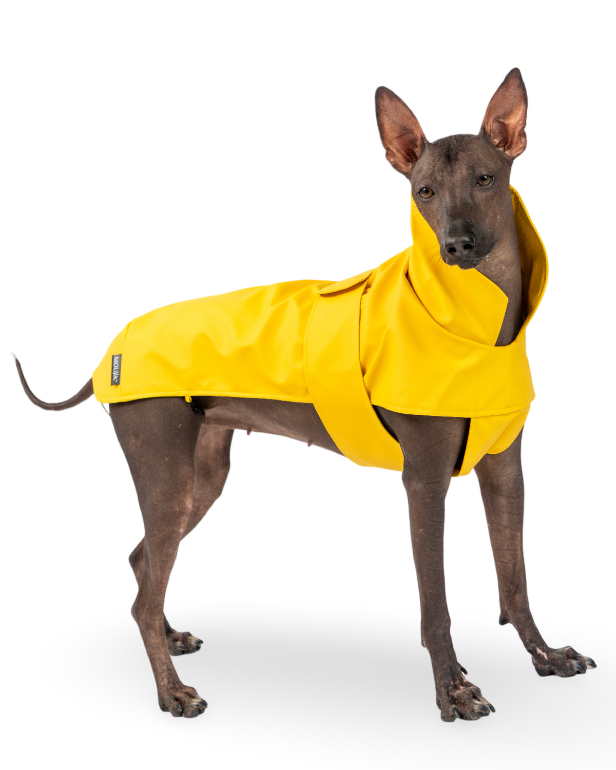 Rain jacket classic yellow